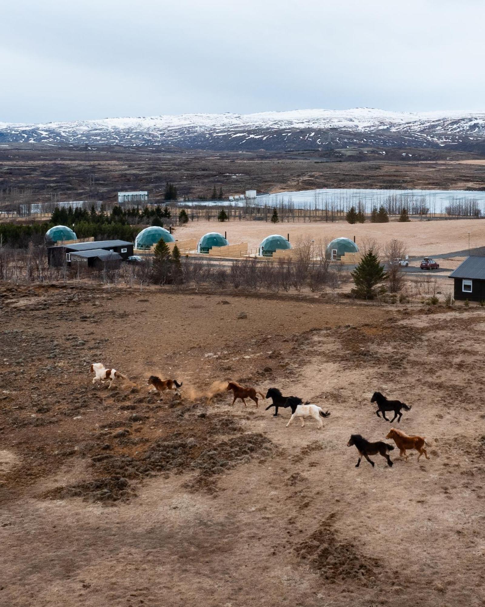 Golden Circle Domes - Lake View Selfoss Exterior photo
